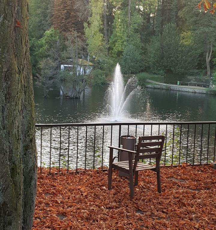 Restaurant, Tanzlokal, Hochzeitssaal & Dekoration am Kasinopark, Kreis Osnabrück